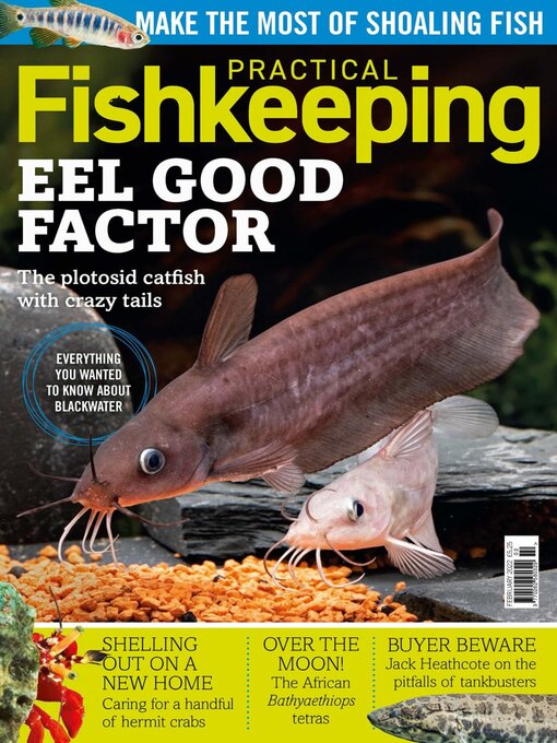 Title details for Practical Fishkeeping by Warners Group Publications Plc - Available